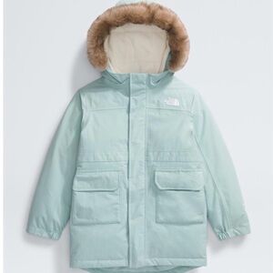 The North Face Artic parka